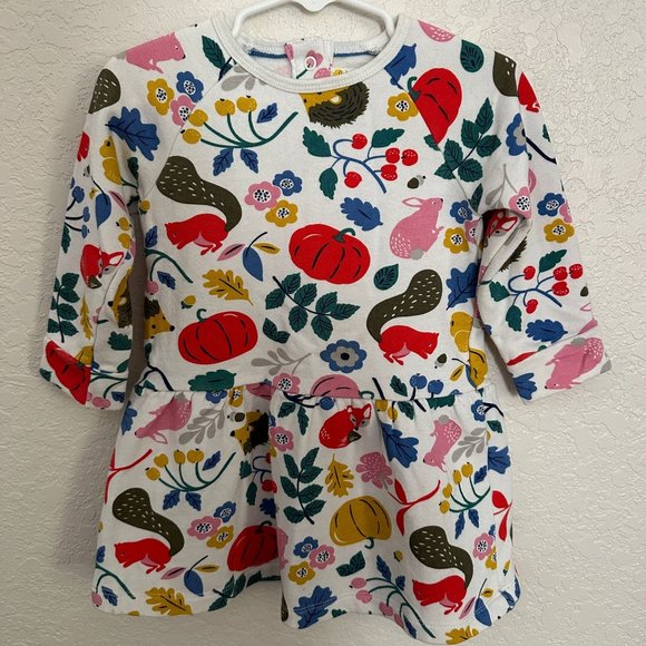 Baby Boden Fall Autumn Dress - Picture 1 of 3